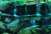 gal/Photographs/USA 2000/_thb_yosemite5.jpg